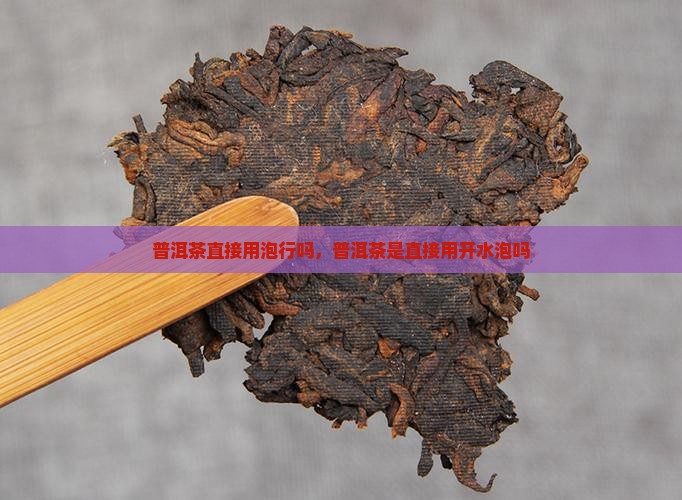 普洱茶直接用泡行吗
