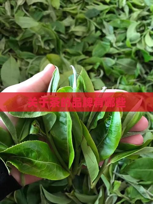 关于茶的品牌有哪些