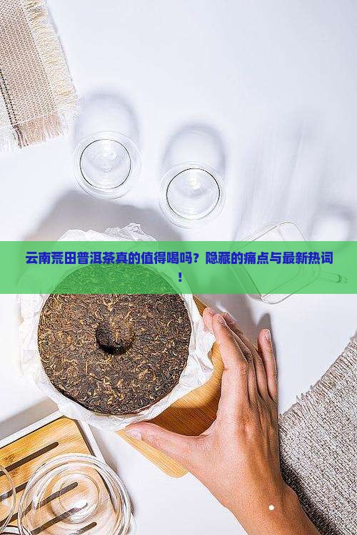 云南荒田普洱茶