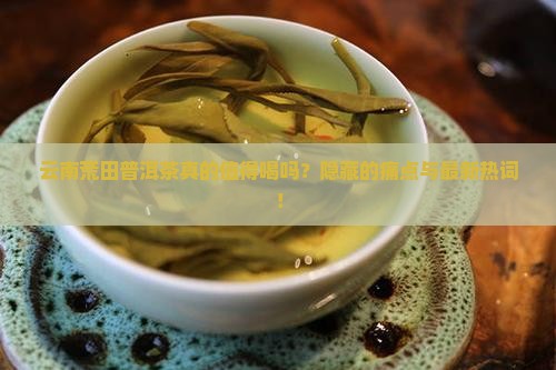 云南荒田普洱茶