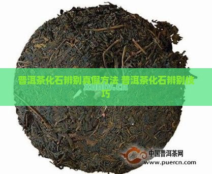 普洱茶化石辨别