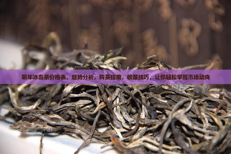 明年冰岛茶价格表