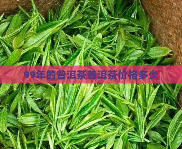 99年的古树普洱茶多少钱