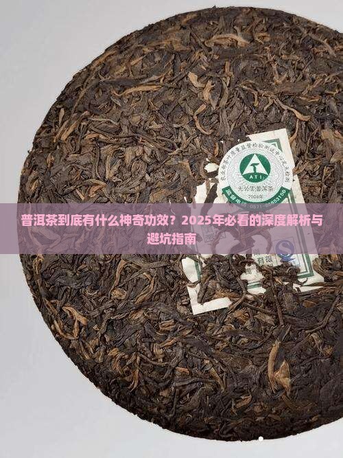 普洱与普洱茶功效