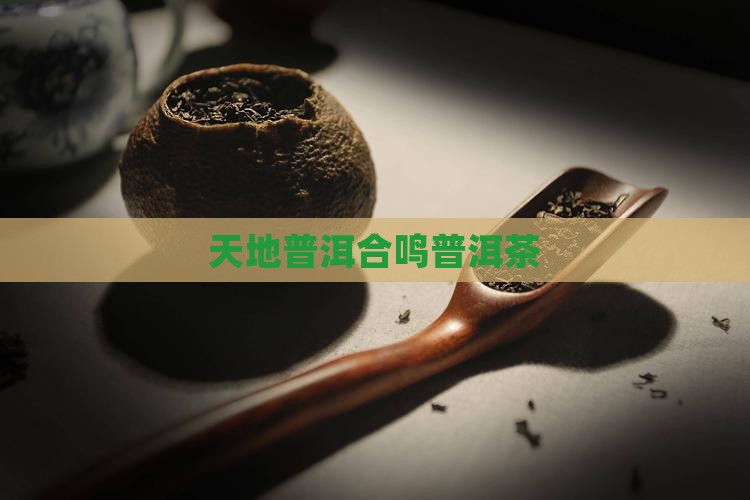 天地合鸣普洱茶