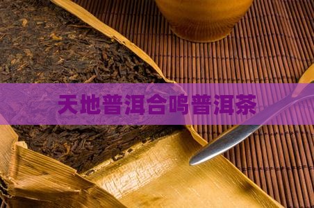 天地合鸣普洱茶