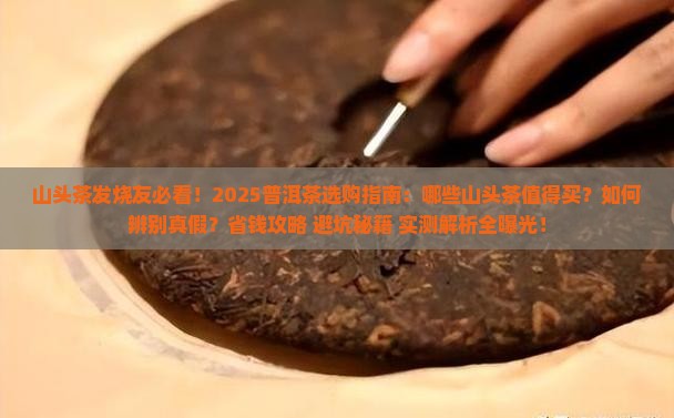 山头茶发烧友普洱茶