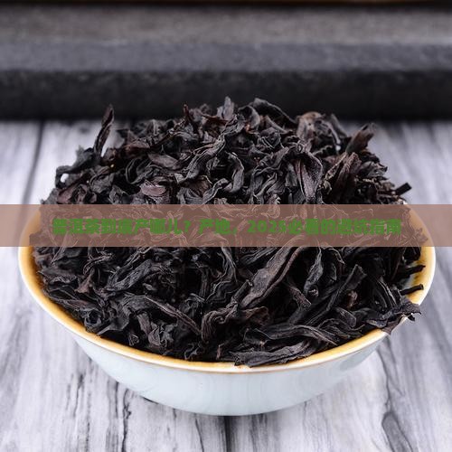 普洱茶都是哪个地方产的