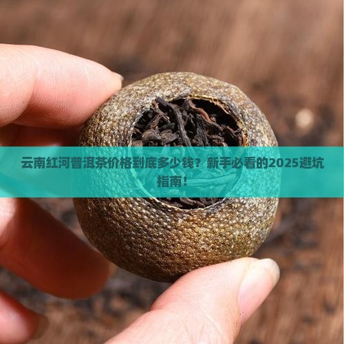 云南红河普洱茶价格