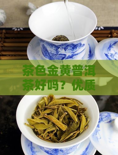 茶色金黄普洱茶好吗