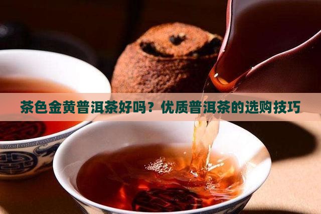 茶色金黄普洱茶好吗