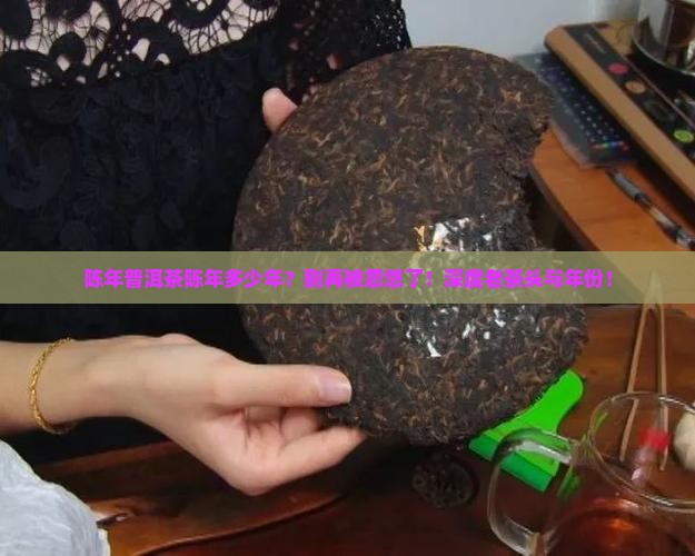 陈年普洱茶陈年多少年