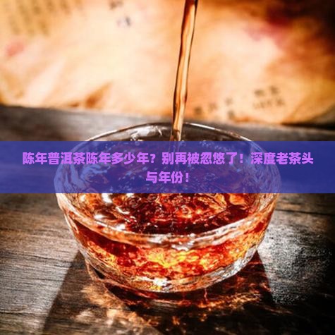 陈年普洱茶陈年多少年