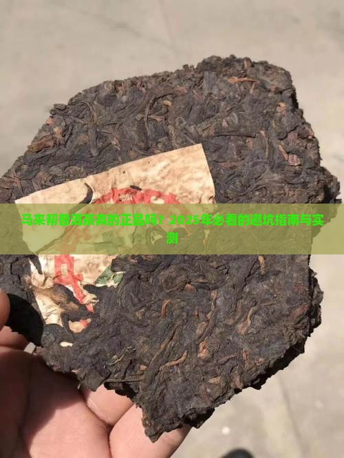 马来帮普洱茶三星正品