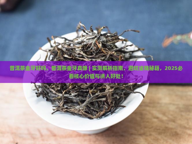 普洱茶金牙好吗