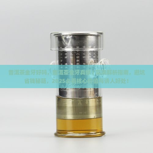 普洱茶金牙好吗