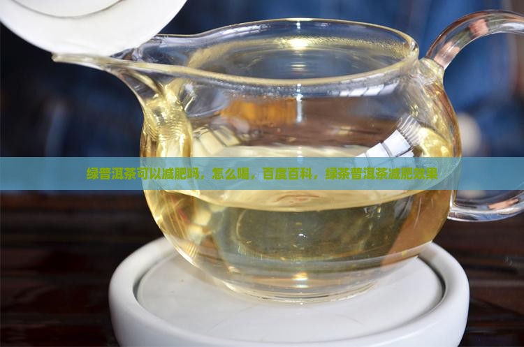 绿普洱茶可以减肥吗