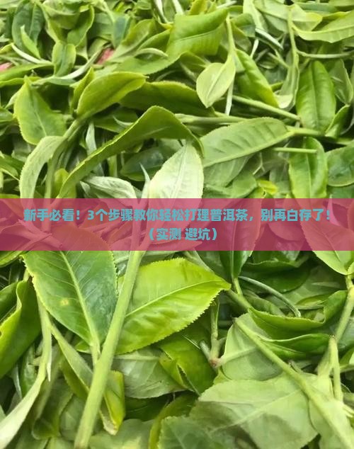 普洱茶怎么打理茶叶