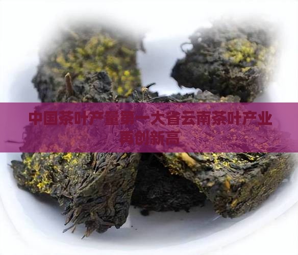 中国茶叶产量第一大省