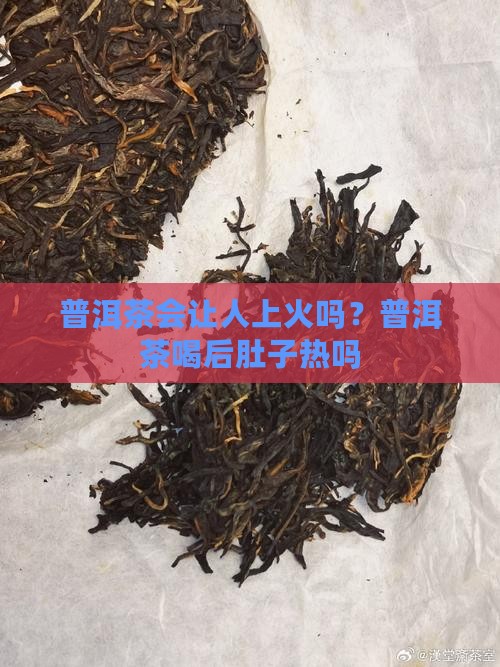 喝了普洱茶肚子会热吗