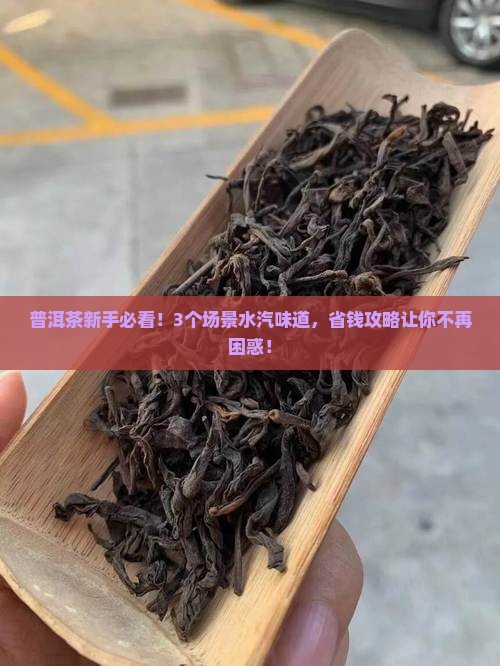 普洱茶的水汽味道