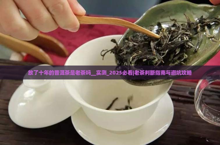 放了十年的普洱茶是老茶吗