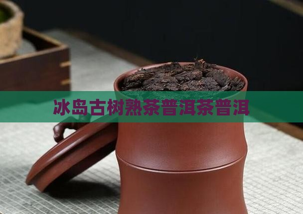品孤古树熟茶冰岛
