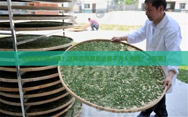 冰岛磨烈懂过茶