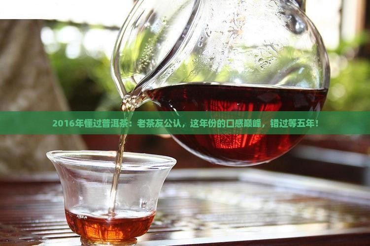 2016年懂过普洱茶
