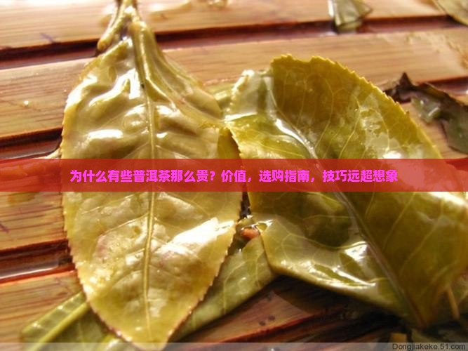 为什么有些普洱茶那么贵
