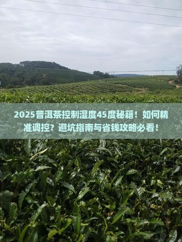 普洱茶控制湿度45