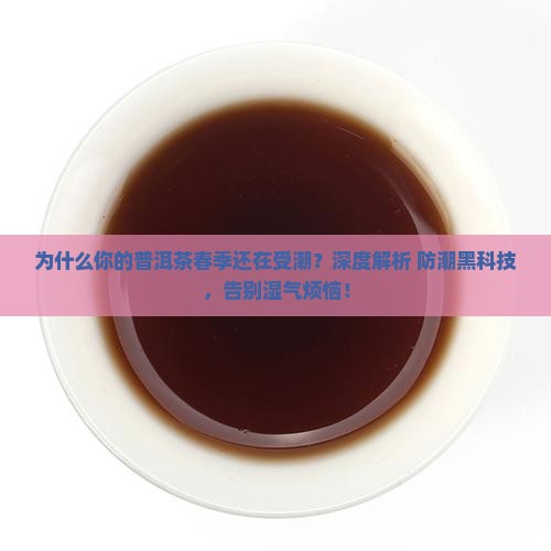 普洱茶春季防潮
