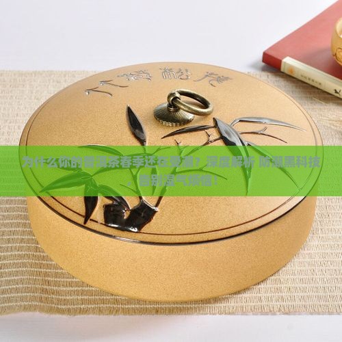 普洱茶春季防潮