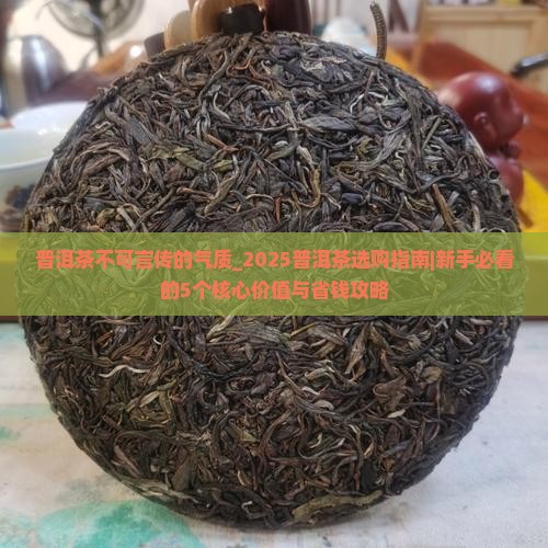 普洱茶不可言传的气质
