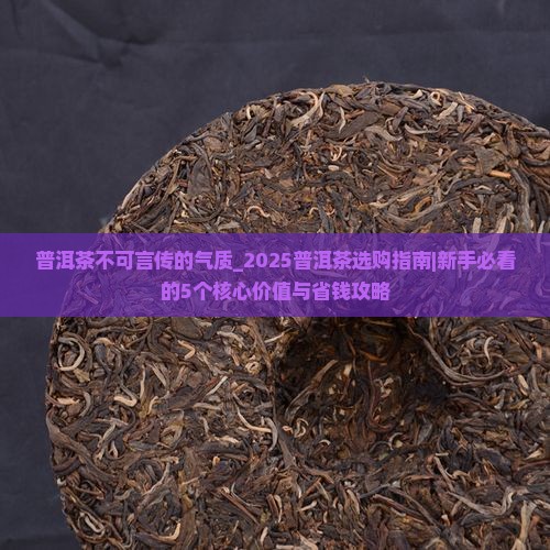 普洱茶不可言传的气质