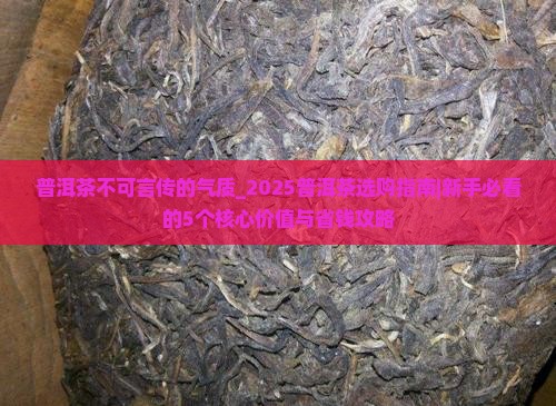 普洱茶不可言传的气质
