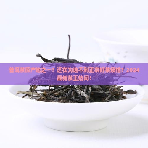 普洱茶原产地之一