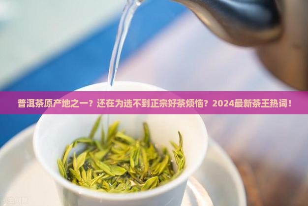 普洱茶原产地之一