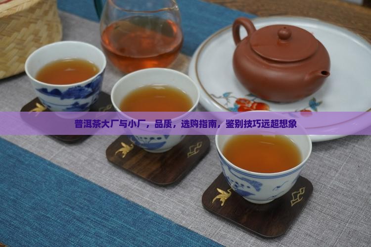 普洱茶大厂与小厂
