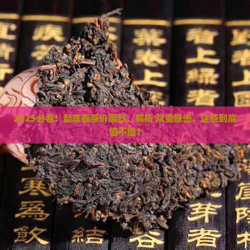 2019勐库春茶价磨烈