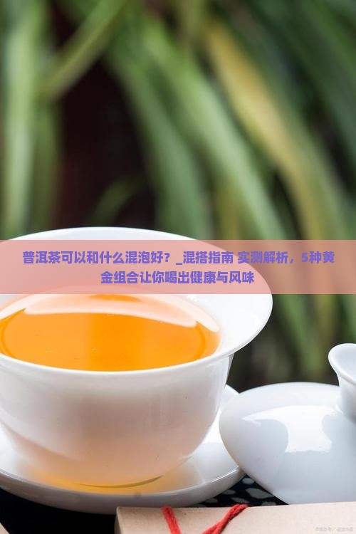 普洱茶可以和什么混泡好
