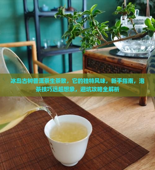 冰岛古树普洱茶生茶散