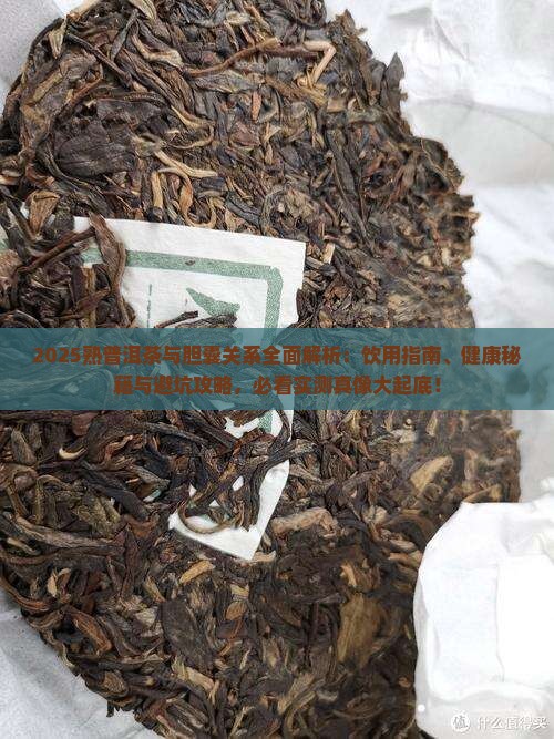 熟普洱茶与胆囊