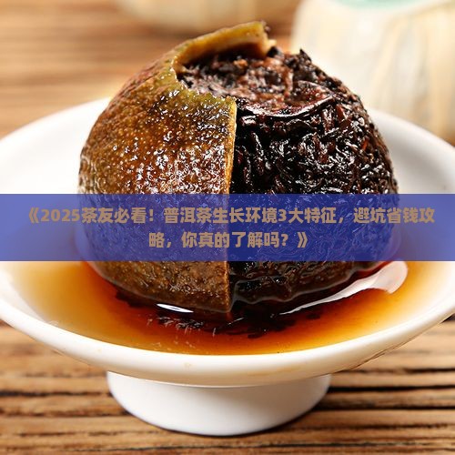 普洱茶生长环境特征