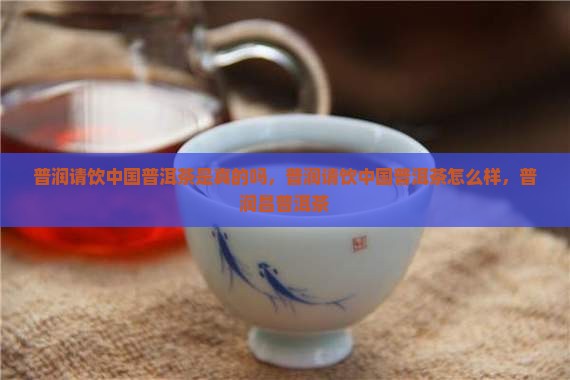 普润请饮中国普洱茶