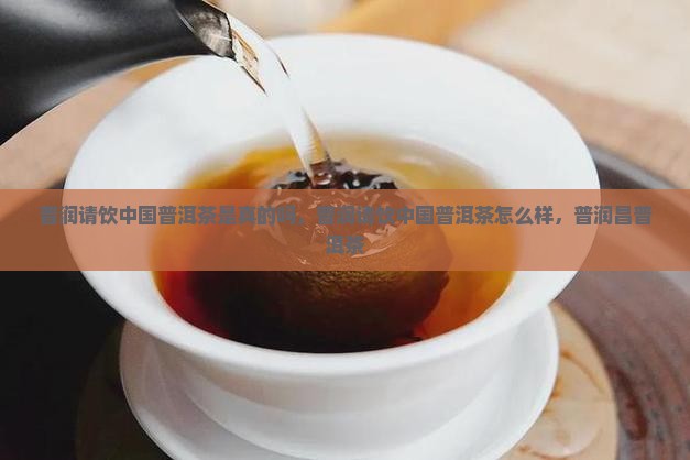 普润请饮中国普洱茶