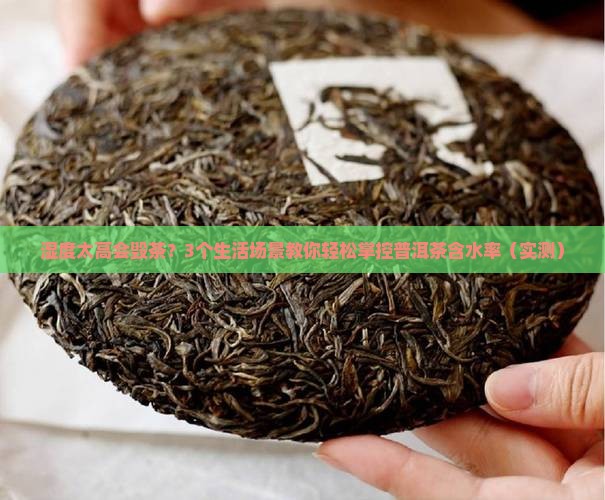 环境湿度与普洱茶含水率