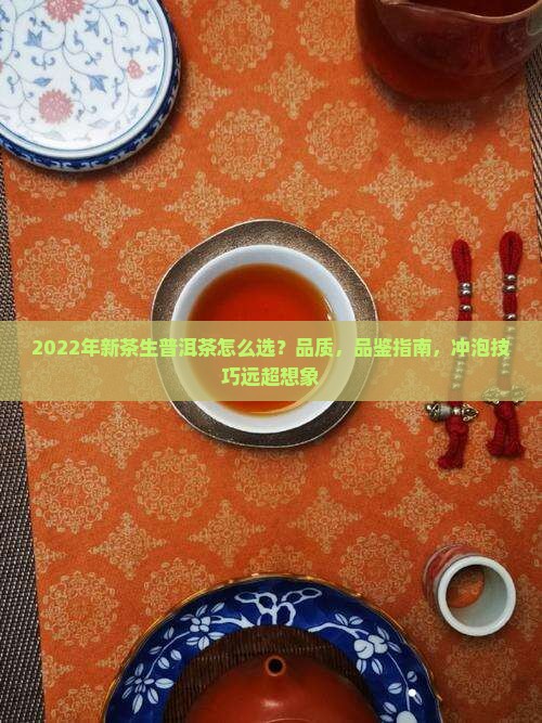 2022年新茶生普洱茶