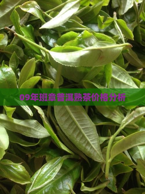 09年班章普洱熟茶价格