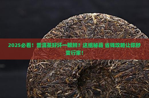 怎么快速识别普洱茶的好坏